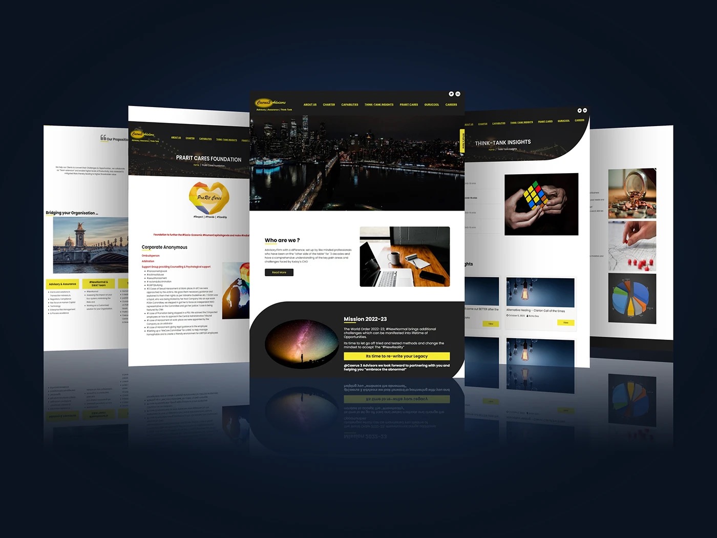 Caerus3 Advisors work