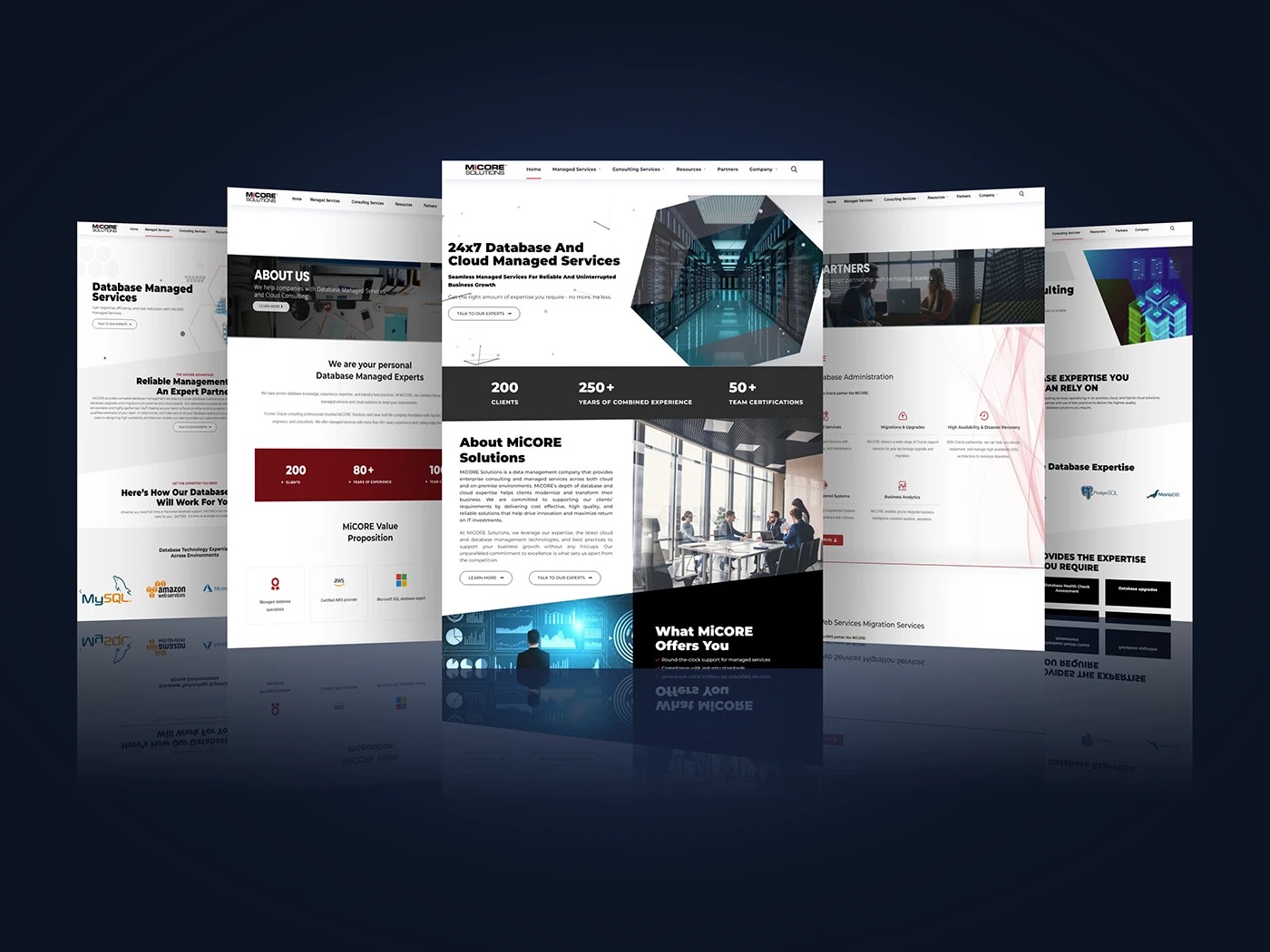 MiCORE Solutions work